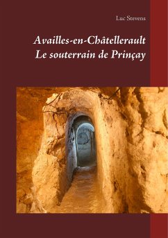 Le souterrain de Prinçay - Stevens, Luc