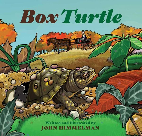 Box Turtle (eBook, ePUB) Box Turtle (eBook, ePUB)