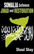 Somalia Between Jihad and Restoration - Bild 1