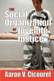 The Social Organization of Juvenile Justice