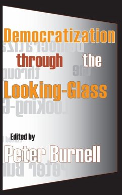 Democratization Through the Looking-glass