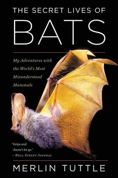 The Secret Lives of Bats - Tuttle, Merlin