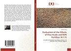 Evaluation of the Effects of Rice Husks and NPK Fertilizer (4:1:1)