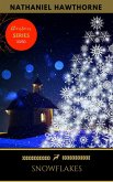 Snow flakes (eBook, ePUB)