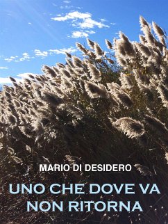 Uno che dove va non ritorna (eBook, ePUB) - Di Desidero, Mario