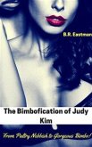 The Bimbofication of Judy Kim (eBook, PDF)