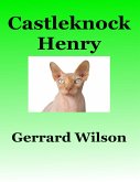 Castleknock Henry (eBook, ePUB)