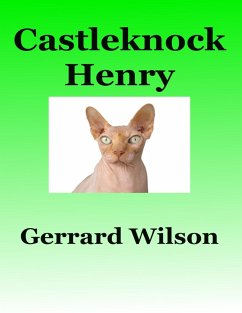 Castleknock Henry (eBook, ePUB) - Wilson, Gerrard