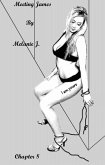 Meeting James Chapter 8 (eBook, ePUB)