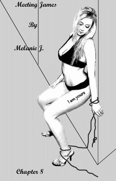 Meeting James Chapter 8 (eBook, ePUB)