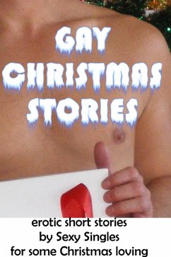 Cover Gay Christmas Stories (eBook, ePUB)
