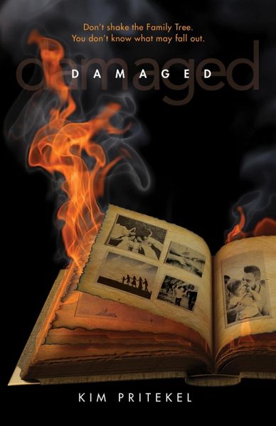 Damaged (eBook, ePUB)