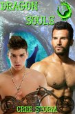 Dragon Souls D.O.A. 2 (eBook, ePUB)