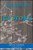 Ice Storm (eBook, ePUB)
