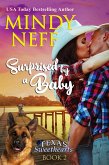 Surprised by a Baby (Texas Sweethearts, #2) (eBook, ePUB)