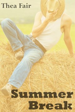 Cover Summer Break (eBook, ePUB)