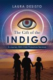 The Gift of the Indigo: A Journey with Child Protective Services Volume 1