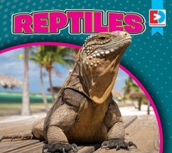 Reptiles - Koran, Maria