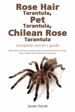 Rose Hair Tarantula, Pet Tarantula, Chilean Rose Tarantula - Karrek, Jowan