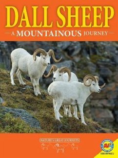 Dall Sheep: A Mountainous Journey - Hirsch, Rebecca