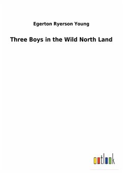 Three Boys in the Wild North Land - Young, Egerton Ryerson