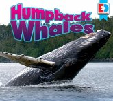 Humpback Whales