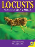 Locusts: A Journey of Many Miles