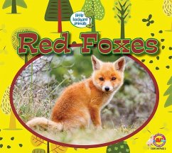 Red Foxes - Kissock, Heather