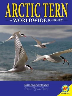 Arctic Terns: A Worldwide Journey - Hirsch, Rebecca