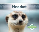 Meerkat