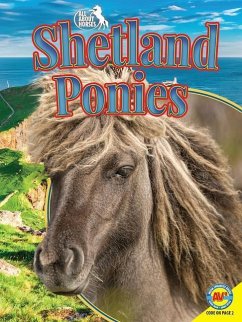 Shetland Ponies - Dell, Pamela