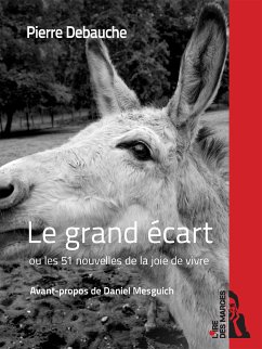 Le grand écart (eBook, ePUB) - Debauche, Pierre
