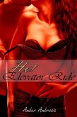 Hot Elevator Ride (eBook, ePUB)