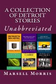 A Collection of Detroit Stories (eBook, ePUB) A Collection of Detroit Stories (eBook, ePUB)