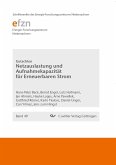 Netzauslastung und Aufnahmekapazität für Erneuerbaren Strom (eBook, PDF)