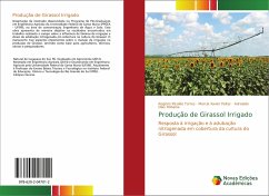 Produção de Girassol Irrigado