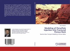Modeling of Persulfate Injection into Fractured Porous Rock