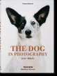 The Dog in Photography 1839-Today - Bild 1