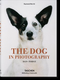The Dog in Photography 1839-Today - Merritt, Raymond
