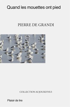 Quand les mouettes ont pied (eBook, ePUB) - De Grandi, Pierre