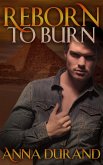 Reborn to Burn (eBook, ePUB)