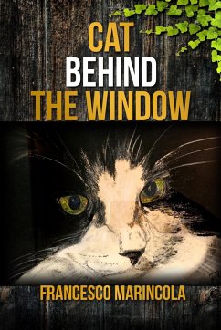 Cat Behind the Window - Marincola, Francesco