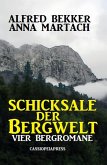 Vier Bergromane: Schicksale in der Bergwelt (eBook, ePUB)