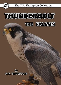 Thunderbolt the Falcon - Thompson, C. K.