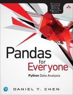 Pandas for Everyone (eBook, ePUB) - Chen, Daniel
