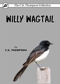 Willy Wagtail