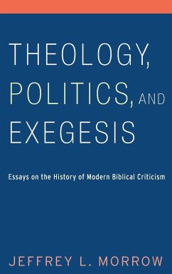 Theology, Politics, and Exegesis - Morrow, Jeffrey L.