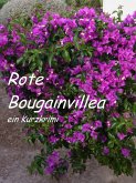 Rote Bougainvillea (eBook, ePUB)