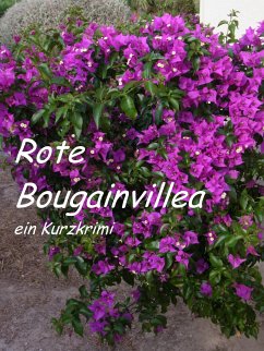 Rote Bougainvillea (eBook, ePUB) - van Geldern, Lucy