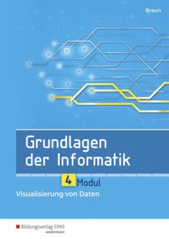 Grundlagen der Informatik - Modul 4: Visualisierung von Daten - Braun, Wolfgang